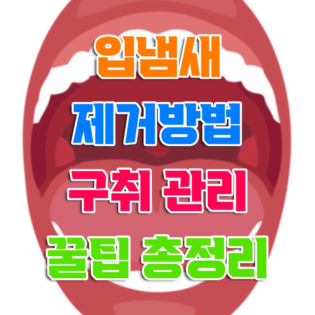 입냄새 제거방법 구취 관리법 냄새 없애는법