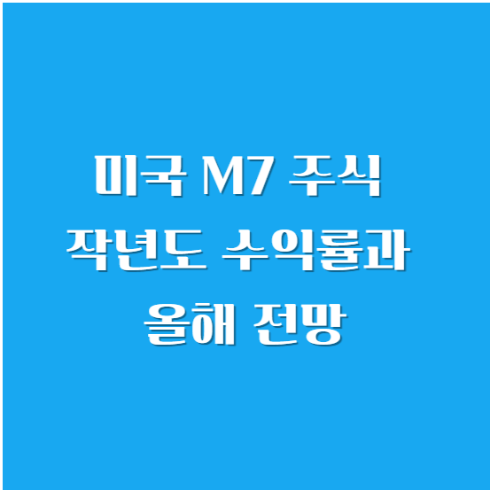 미국 M7 주식 작년도 수익률과 올해 전망
