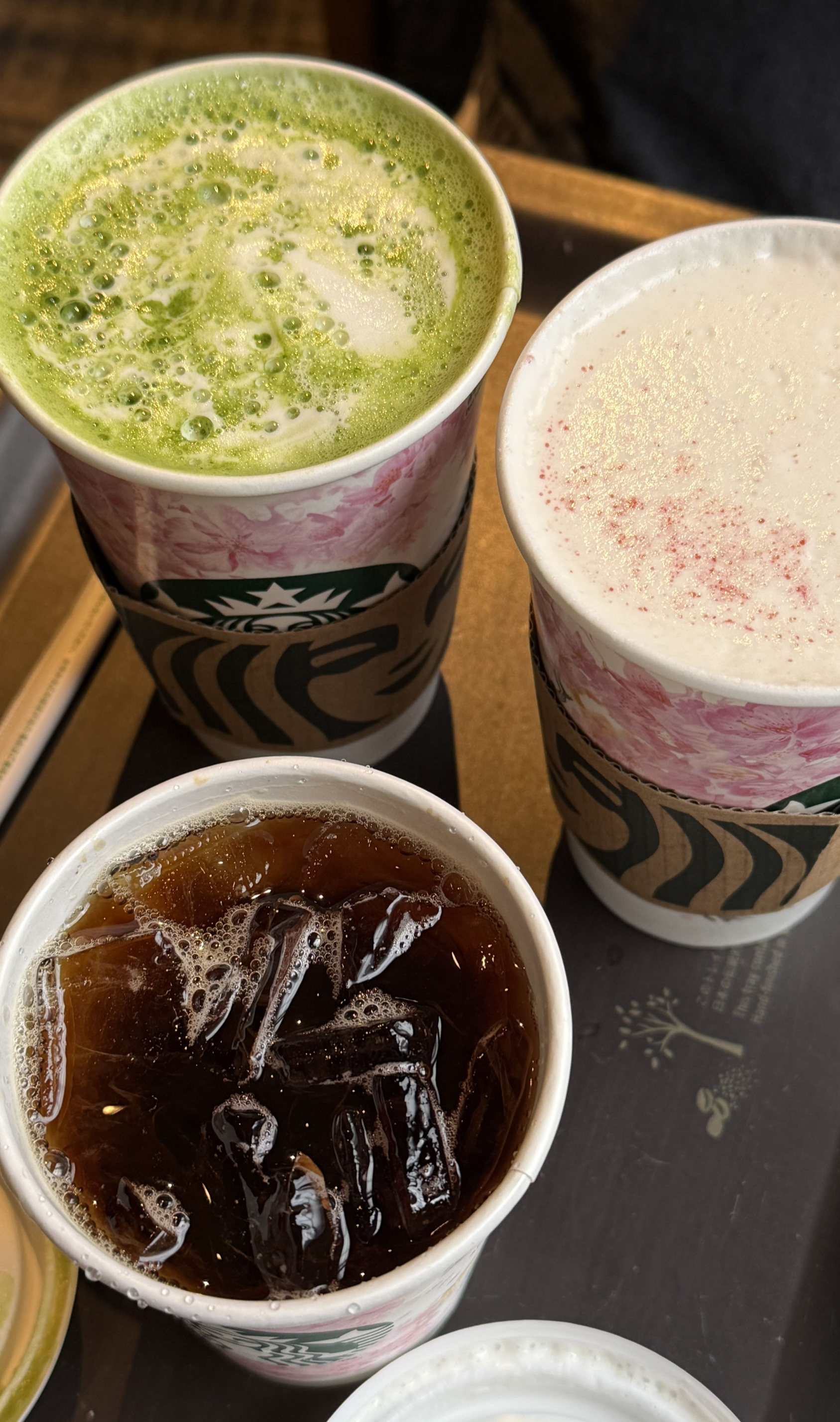 교토 봄 여행 일본 스타벅스