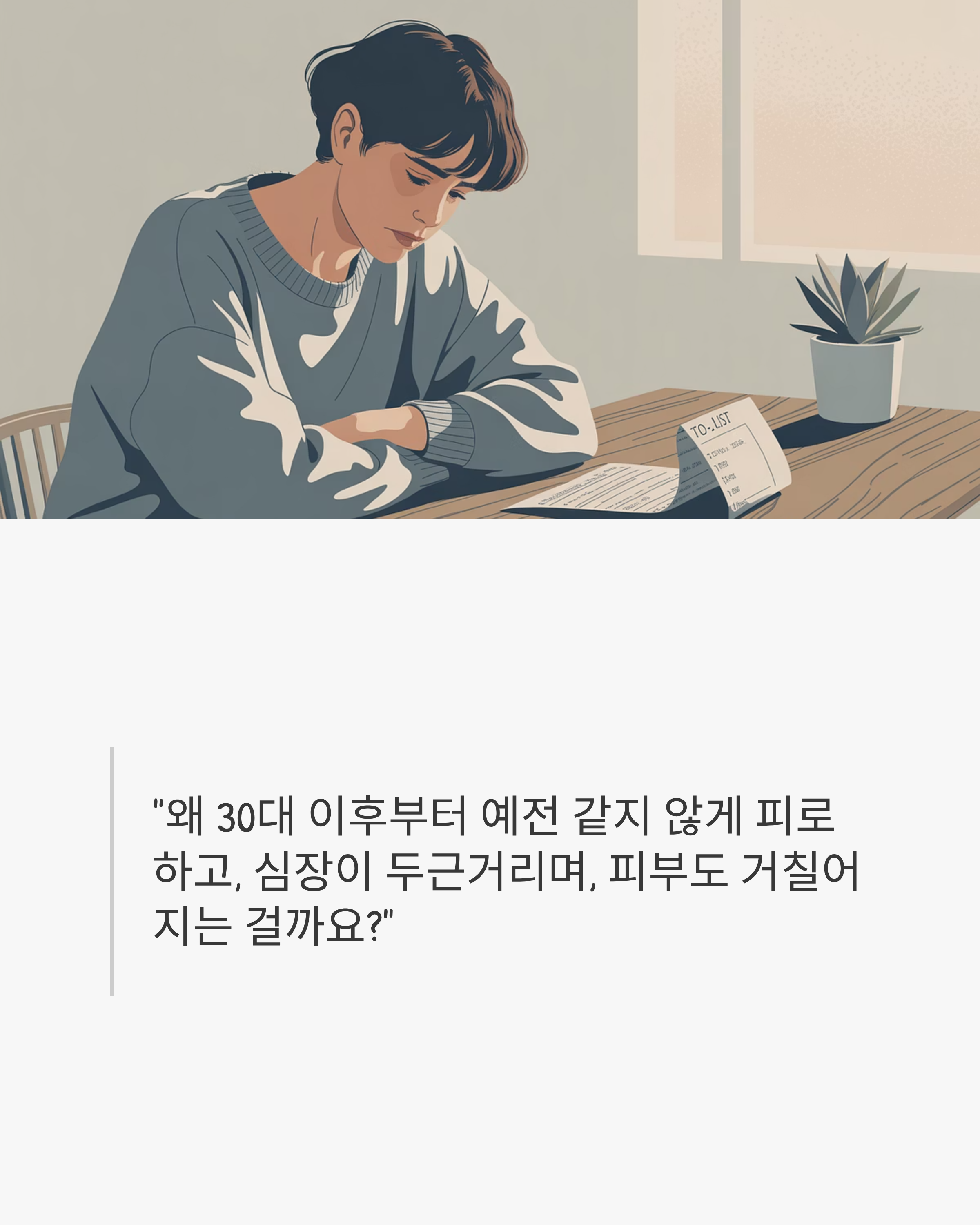 코엔자임Q10자료사진