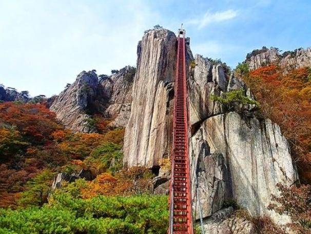 2025 대둔산 단풍 절정 & 등산 코스 총정리 ❘ 케이블카·주차·소요시간 완벽 안내