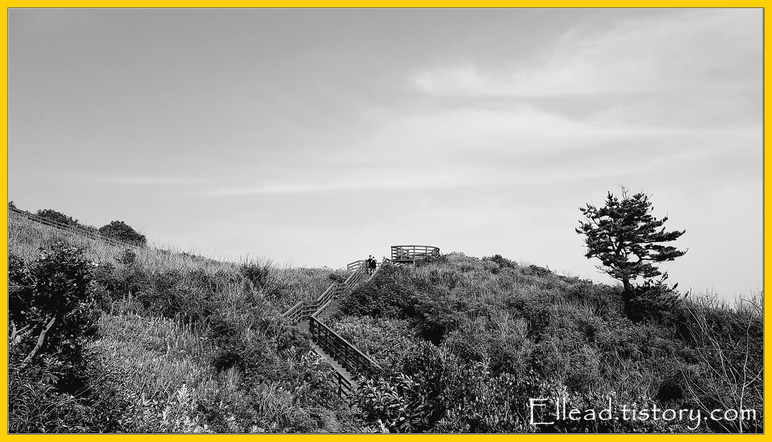 아기자기한 관음도