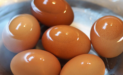 에그마요 샌드위치