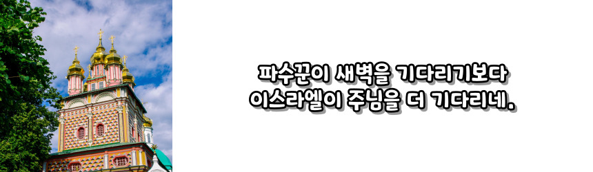 천주교 위령 성월 기도문_성월 기도