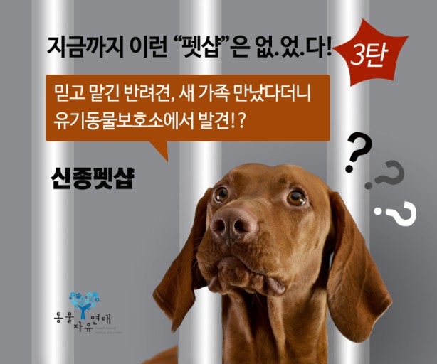 죽은강아지 뱃속 새끼 꺼내 파는 강아지공장&#44; 펫샵의 실체