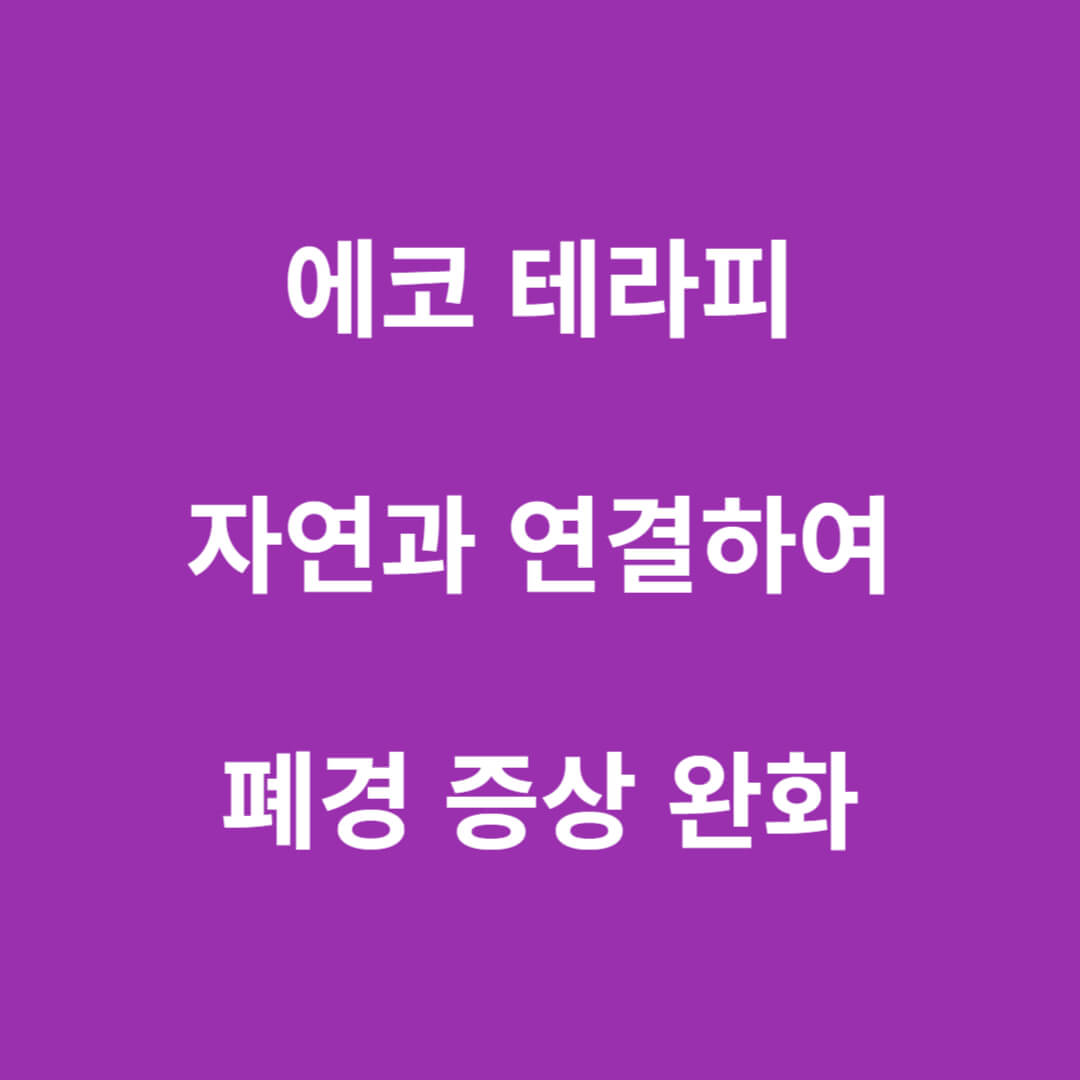 에코 테라피