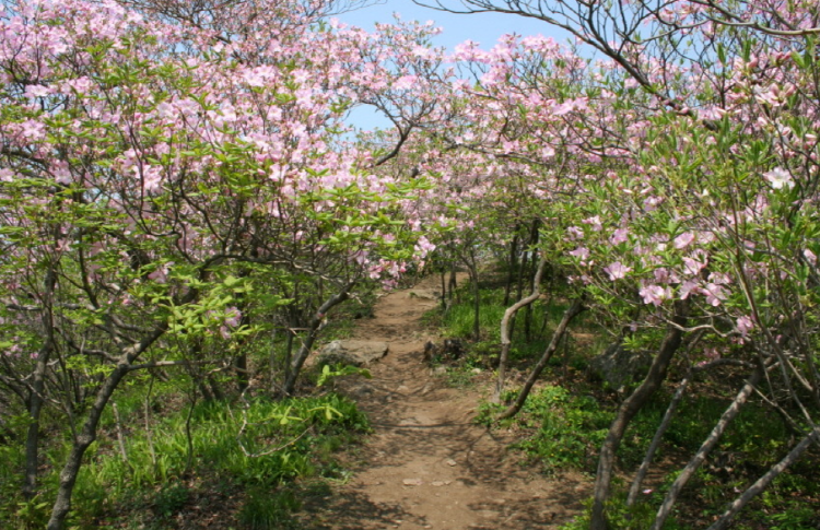 축령산 등산코스