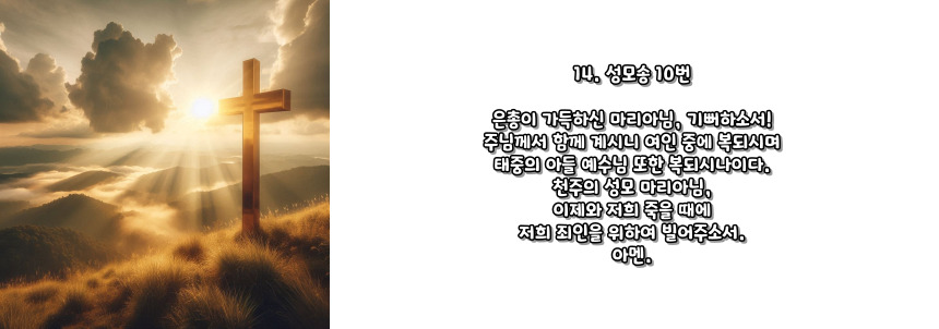 천주교 묵주기도 빛의 신비 5단