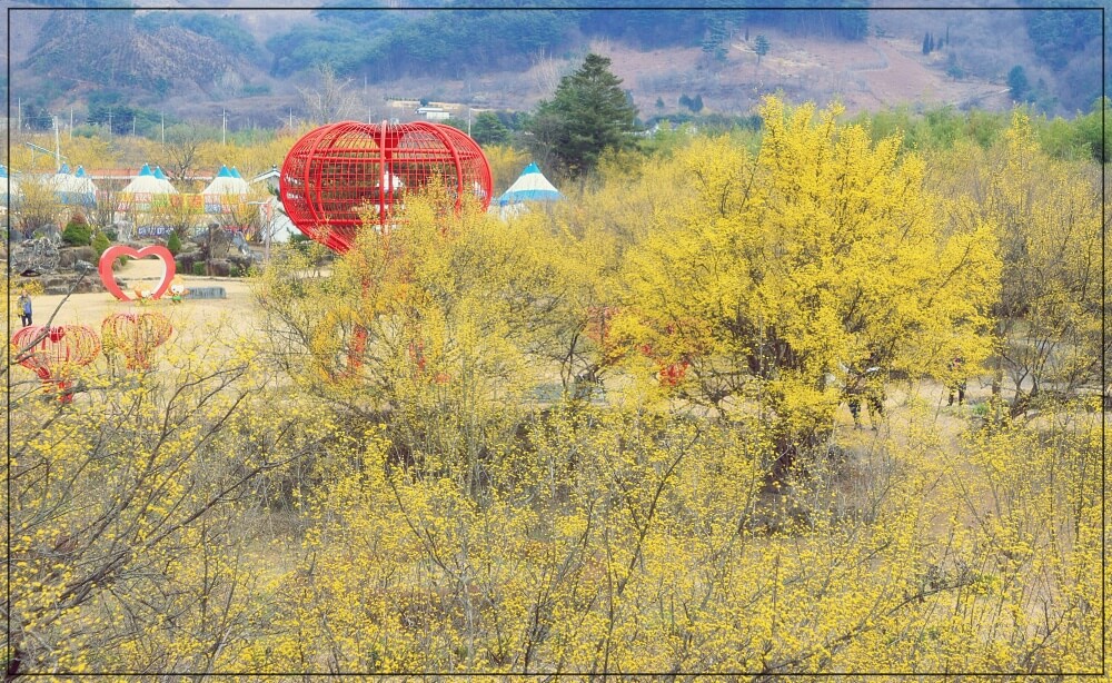 2025년 구례 산수유축제 일정과 주차장위치