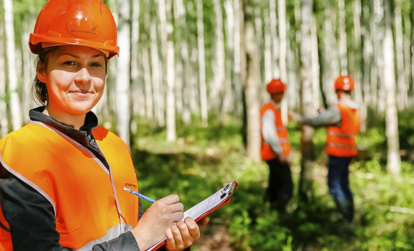 임산공학과 전망 및 전국대학리스트