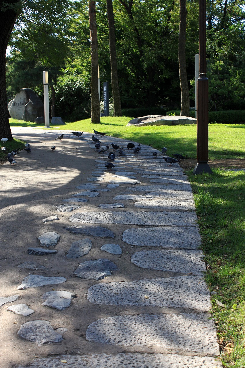 서울 혼자 걷기 좋은 감성 산책길 관련 사진