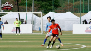 임영웅 출연 작품