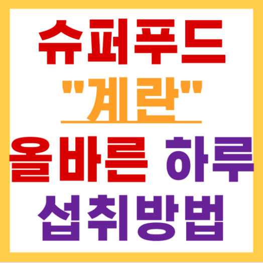 하루 달걀 섭취방법