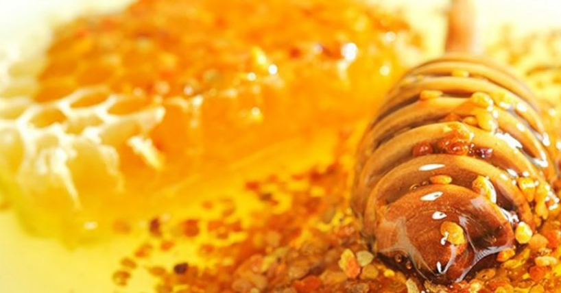 꿀벌-화분-효능