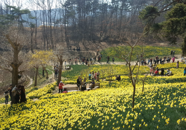 생생정보 믿고 떠나는 스타의 고장 충청남도 서산시 유기방가옥 황금산 코끼리바위 바다식당 꽃빛 