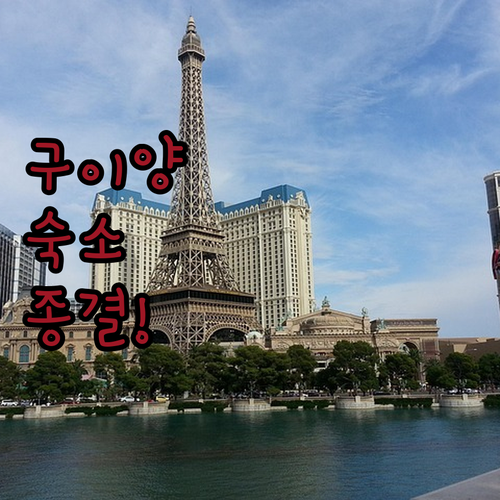 비엔나 호텔부터 7 데이즈 프리미엄까..