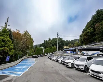 아침고요수목원_23