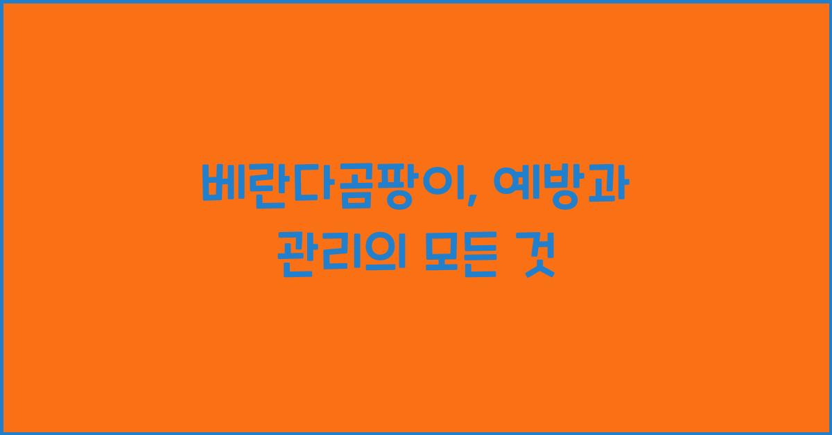 베란다곰팡이