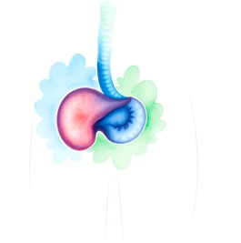양성 전립선 비대증 초기증상 치료방법 총정리