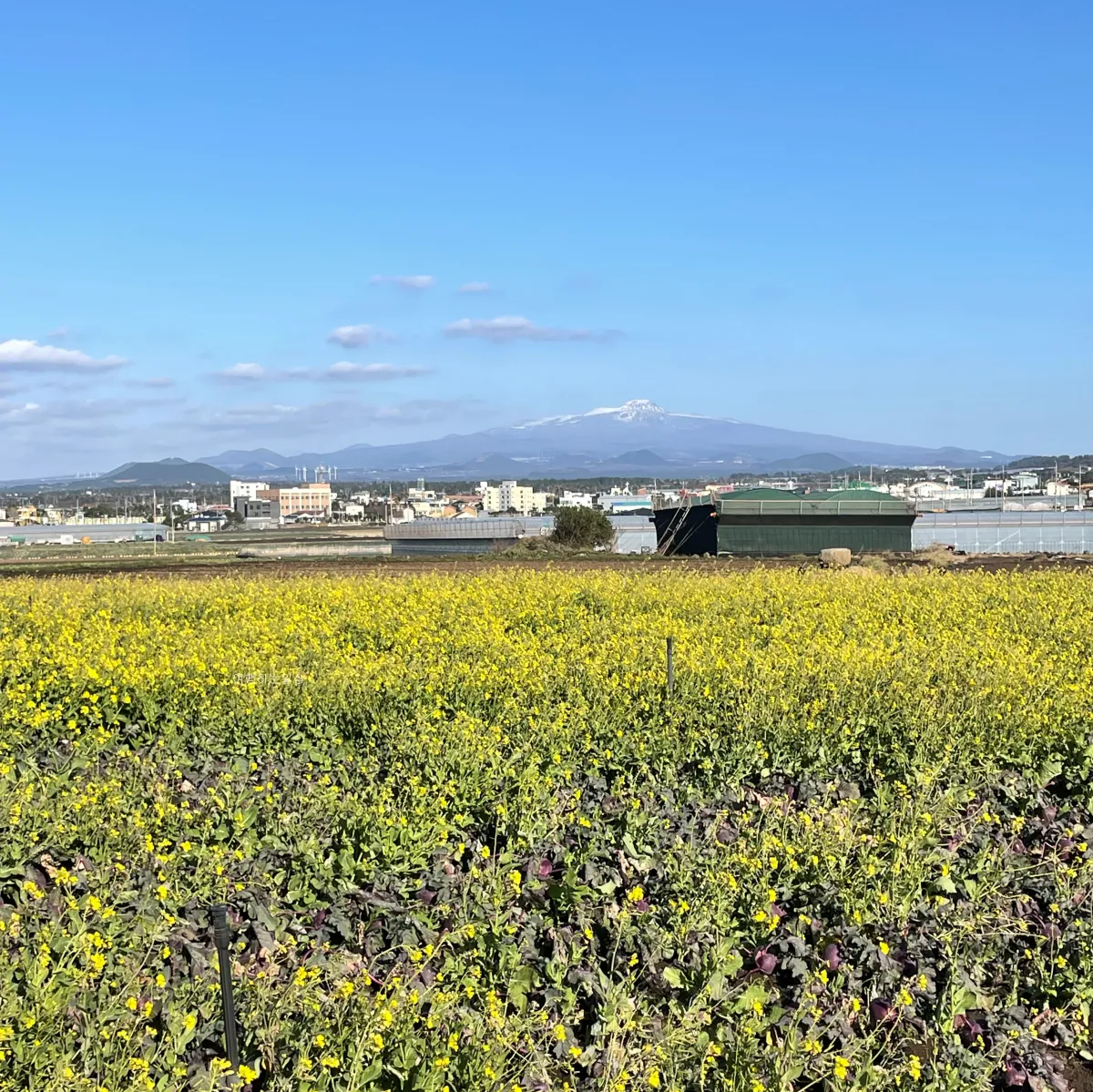 제주-서쪽여행코스-수월봉-지질트레일-산책코스-엉알해변-전기자전거-추천