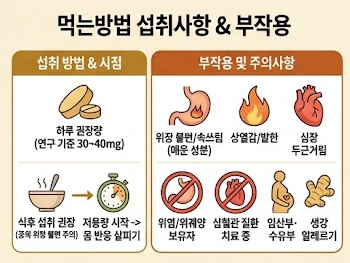 파라다이스그래인-효소-효능-내돈내산-효과-부작용-먹는방법-구입처