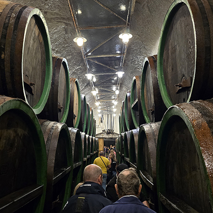 플젠 여행 가볼만한곳 best 3 관광 명소