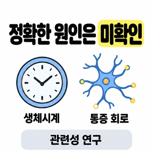정확한 원인은 미확인이라는 문구와 함께 생체시계와 통증 회로를 시계와 신경세포 그림으로 나타내고 관련성 연구라고 설명한 도식