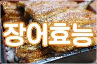장어 효능 장어와 상극인 음식 건강 상식_17