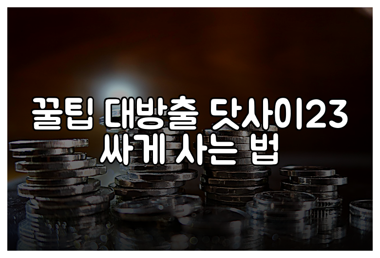 꿀팁 대방출 닷사이23 싸게 사는 법