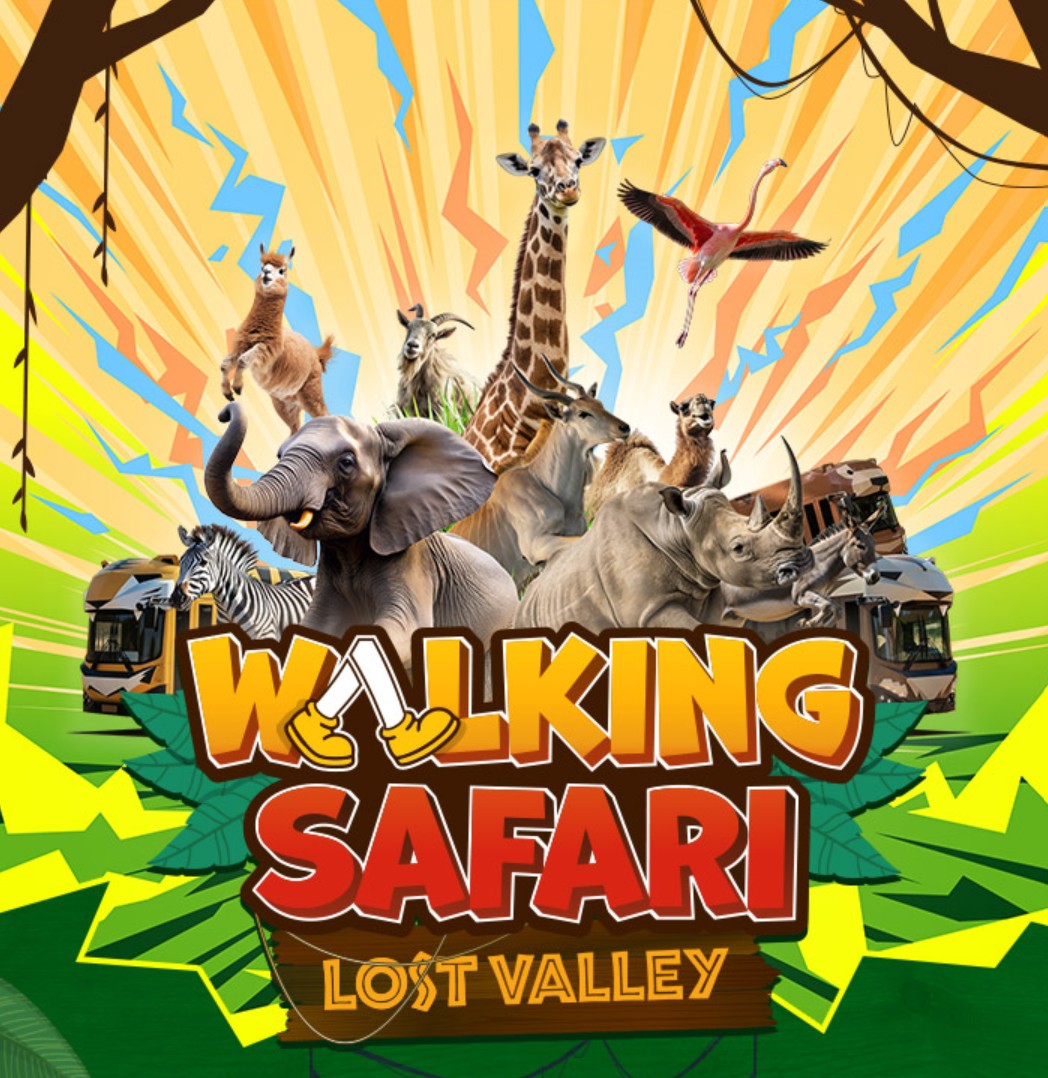 에버랜드 워킹 사파리