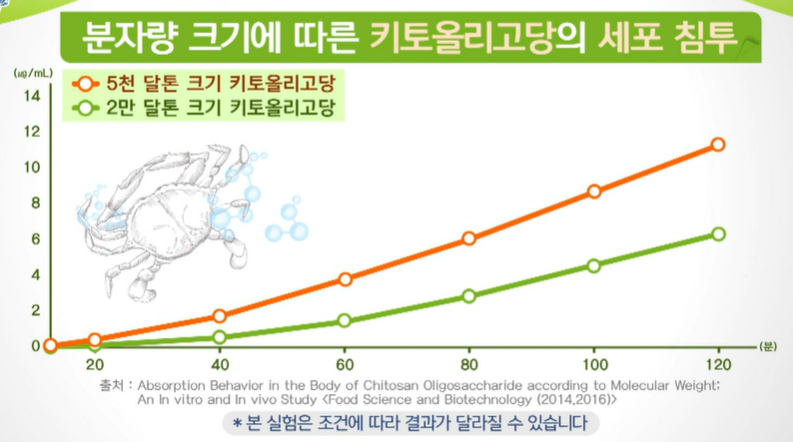 저분자 키토올리고당