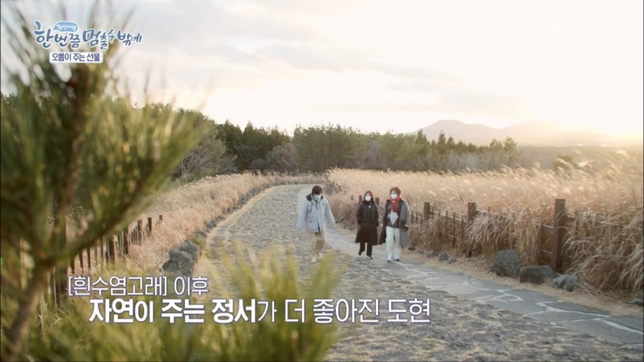 한번쯤멈출수밖에 제주도 산굼부리 02