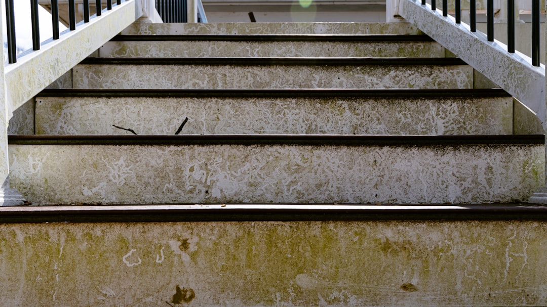 Mold