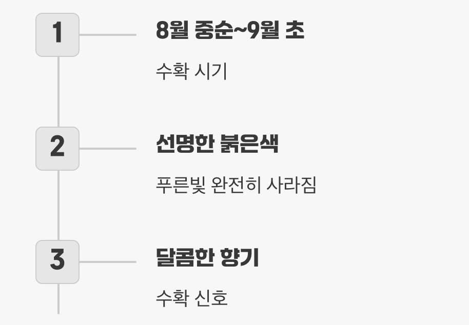 가장 달콤한 순간&amp;#44; 수확의 기쁨