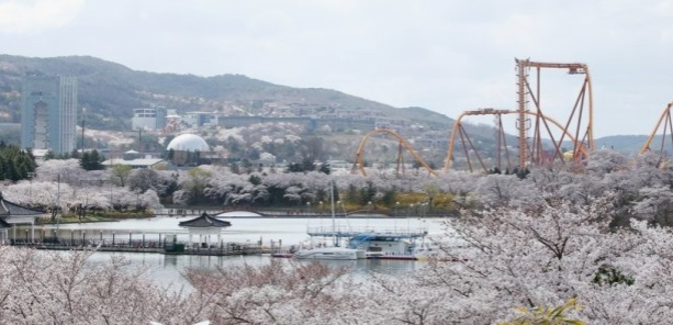 전국봄꽃명소