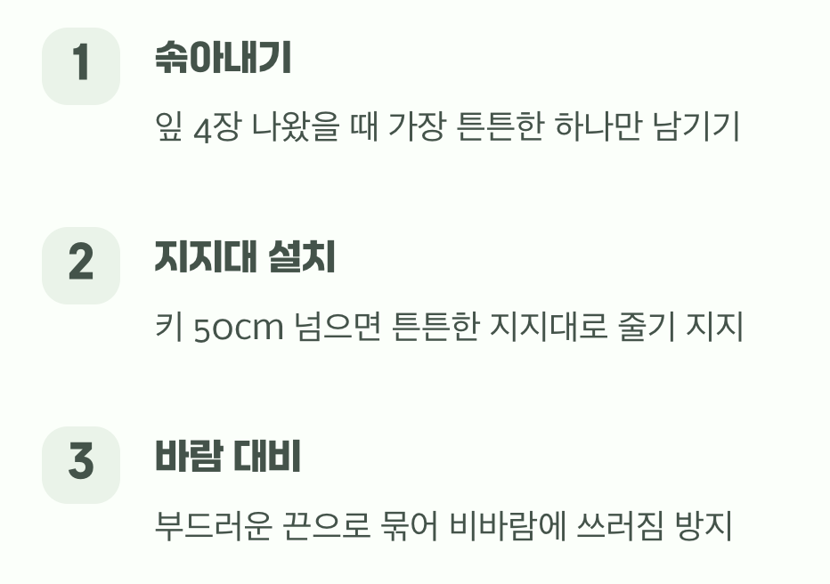 웃자람 방지, 튼튼한 줄기 만들기