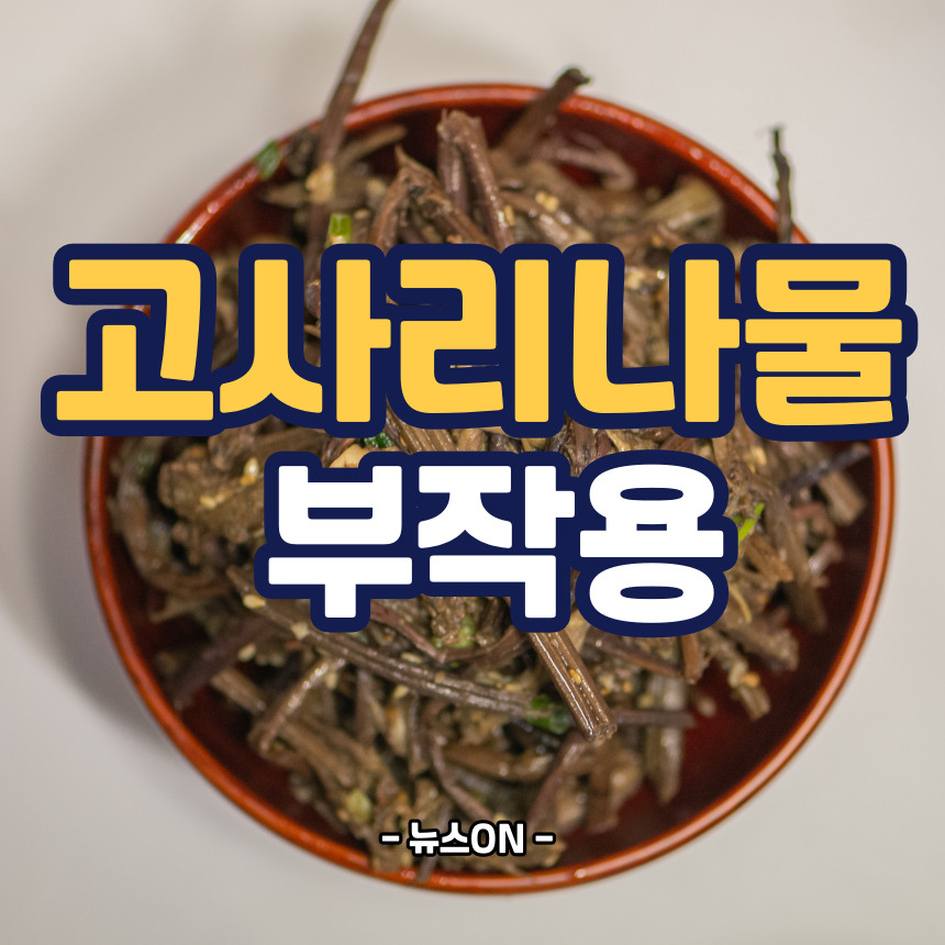 고사리나물 부작용