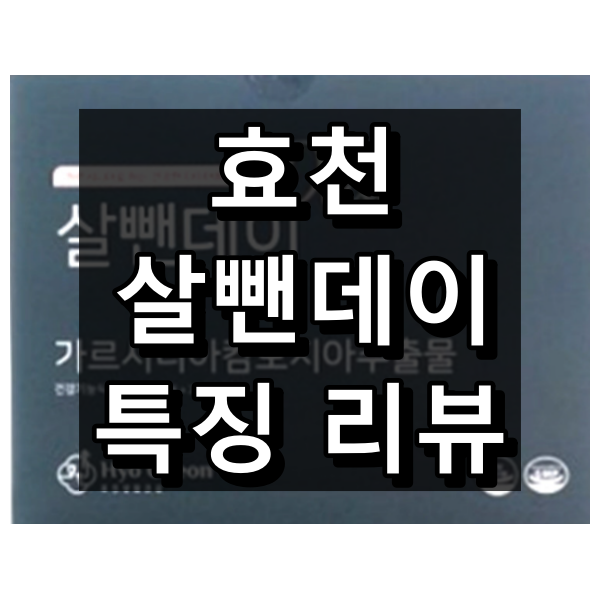 효천 살뺀데이 대표 이미지