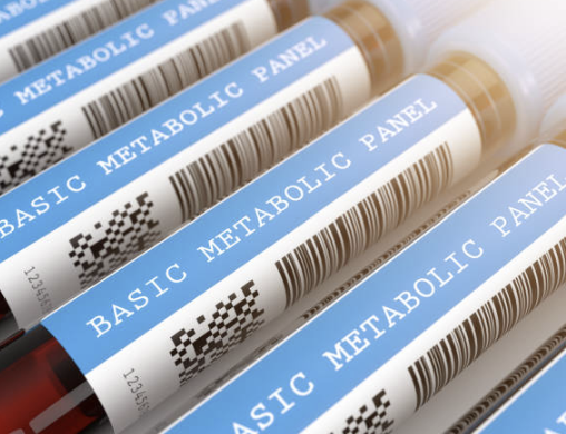 Metabolite identification이 아니라&lsquo;가설 생성 과정&rsquo;으로 보는 metabolomics