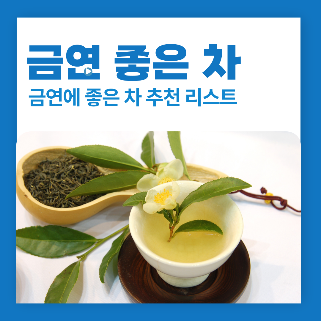 스트레스 없이 금연하기: 금연에 좋은 차 추천 리스트