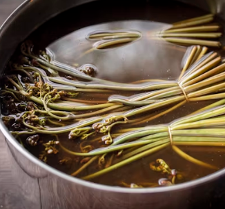 고사리 효능과 부작용 고르는법 칼로리