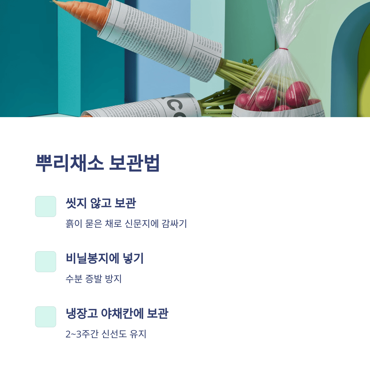 뿌리채소 보관법