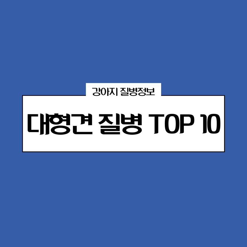 대형견 질병 TOP 10
