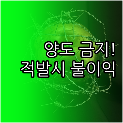 청년문화예술패스 티켓 양도 금지 규정..