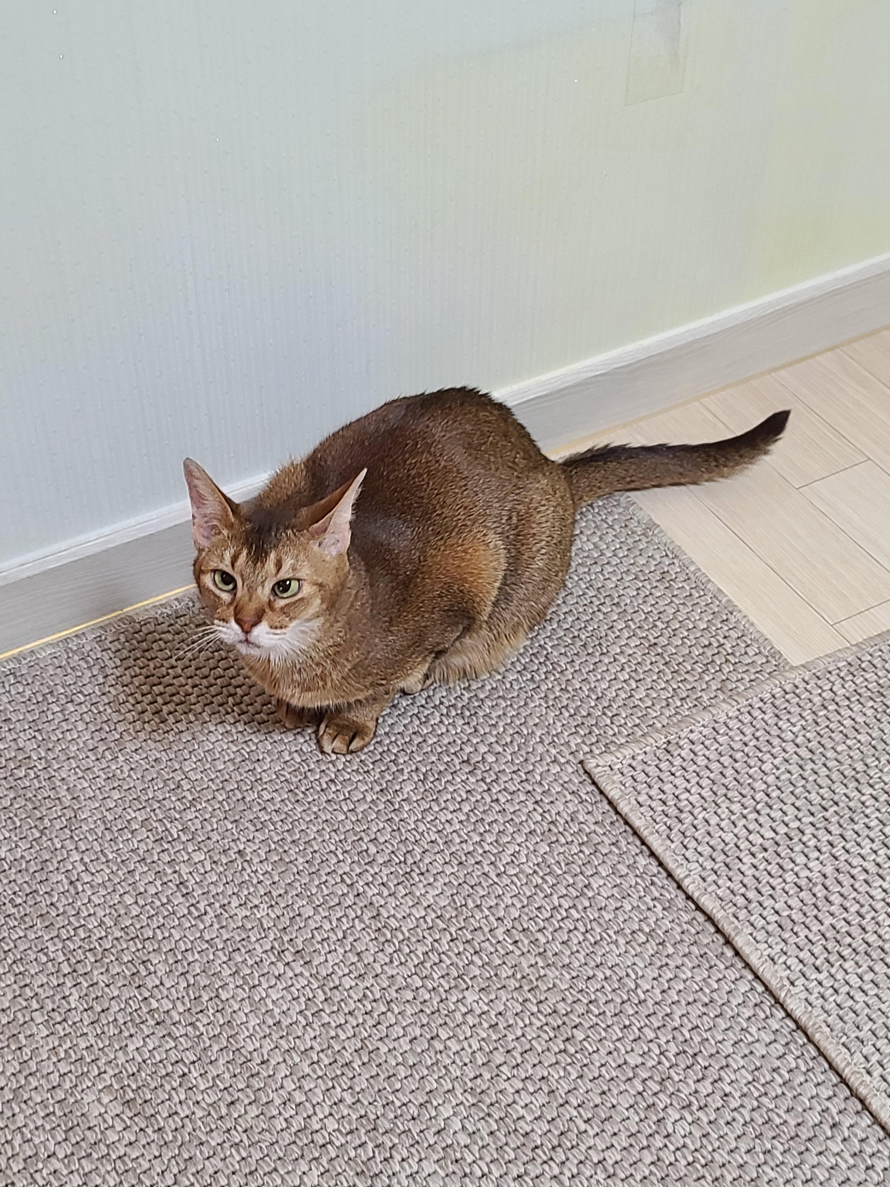 그날이 다가왔다! 아이들 화장실모래전체갈이!!