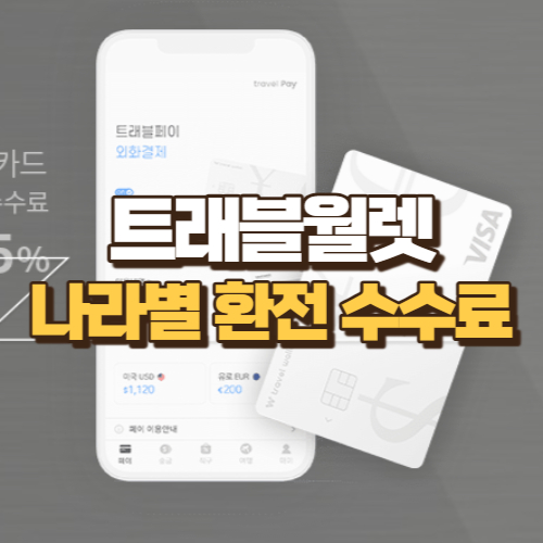 트래블월렛 나라별 환전 수수료