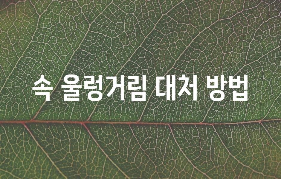 샘플 (43)