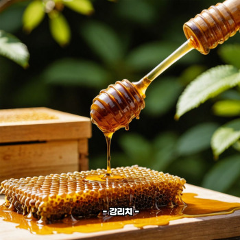 프로폴리스 효능