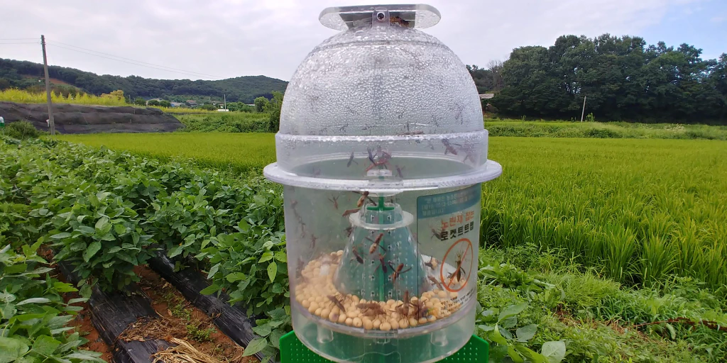 한여름 콩밭에서 추수까지 — 기계화 콩농사 이야기 10