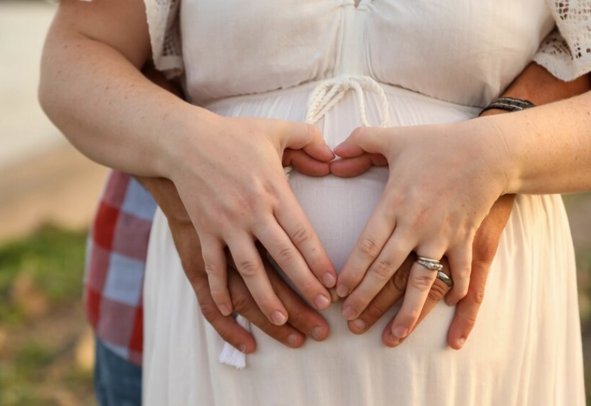 면역력 높이는 영양제